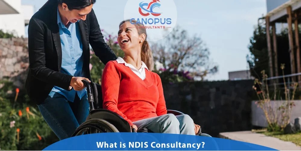 who Are NDIS Consultants and Why Are They Vital